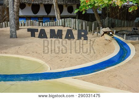 Sign Of Project Tamar At Praia Do Forte On Brazil