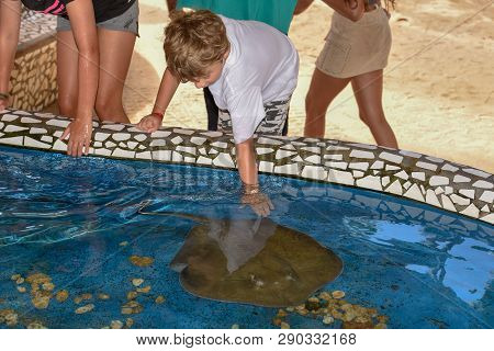 Children Caressing Breed Fish On Project Tamar Tank At Praia Do Forte In Brazil