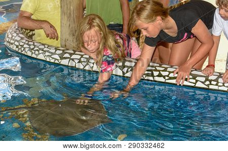 Children Caressing Breed Fish On Project Tamar Tank At Praia Do Forte In Brazil