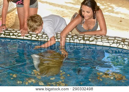 Woman And Children Caressing Breed Fish On Project Tamar Tank At Praia Do Forte In Brazil