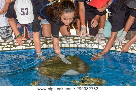 Children Caressing Breed Fish On Project Tamar Tank At Praia Do Forte In Brazil