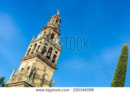 Mosque Cathedral Of Cordoba In Andalusia, Spain