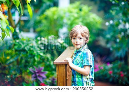 Little Blond Preschool Kid Boy Discovering Flowers, Plants And Butterflies At Botanic Garden. School