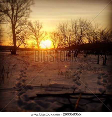 Sunrise Near Yuryuzan River In Winter Bashkiria