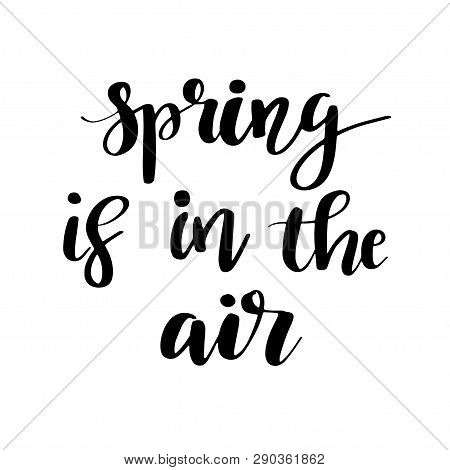 Hand Lettered Inspirational Quote Spring Is In The Air. Hand Brushed Ink Lettering. Modern Black Bru