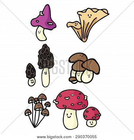 Kawaii Mushroom Cartoon Vector Illustration Motif Set. Hand Drawn Edible Fungi