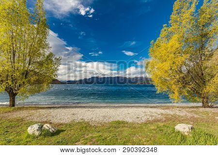 New Zealand landscape, Lake Wanaka, Glendhu Bay - lake and trees
