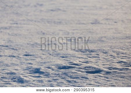 Distant Snow Field Plain Seasonal Texture Background With Selective Focus