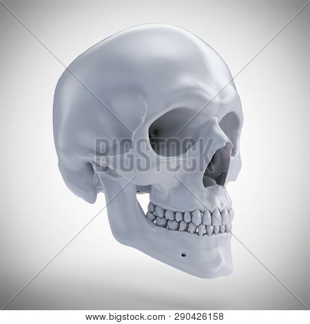 3d rendered medically accurate illustration of a human skull