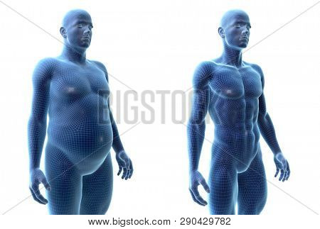 3d rendered medically accurate illustration of a comparision of a fit and obese male