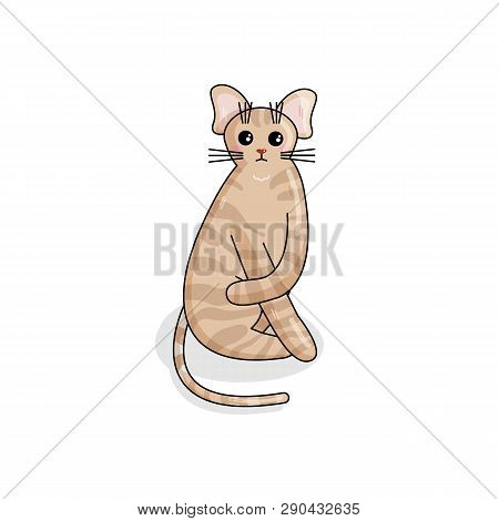 Vector Character Of Devon Rex Cat In Kawaii Style