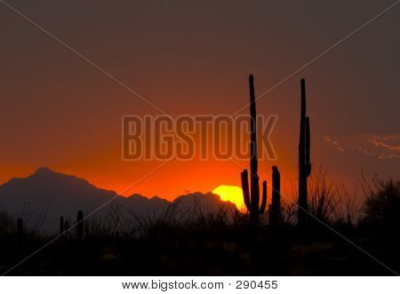 Thundershower slunce