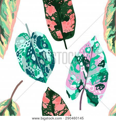 Seamless Pattern Tropical Leaves Diffenbachia Collection. Vector Isolated Elements On The White Back