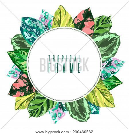 Frame Tropical Leaves Diffenbachia Collection. Vector Isolated Elements On The White Background. Lea