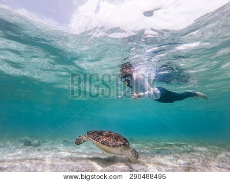 Woman On Vacations Wearing Snokeling Mask Swimming With Sea Turtle In Turquoise Blue Water Of Gili I