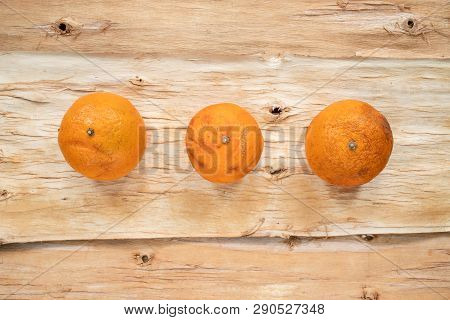 Three Ugly Non-standard Mandarin Lying In Row On Natural Wooden Background.