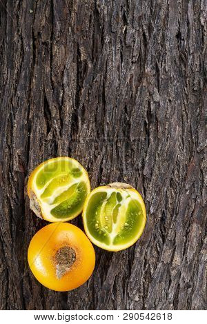 Fruit Of Lulo On Tree Bark (solanum Quitoense)