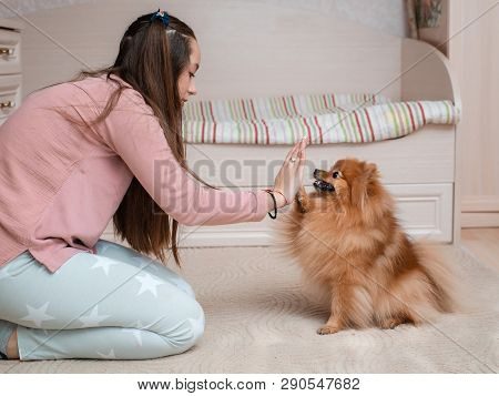 Teenage Girl With A Dog Breed Spitz Rejoices With A Pet At Home On The Floor. Care And Training Of A