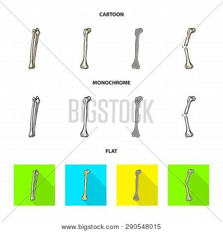 Vector Illustration Of Medicine And Clinic Icon. Set Of Medicine And Medical Vector Icon For Stock.