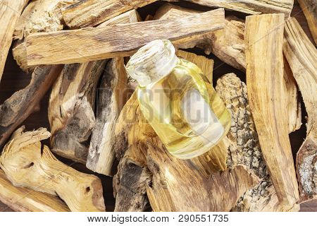 Sacred Wood 