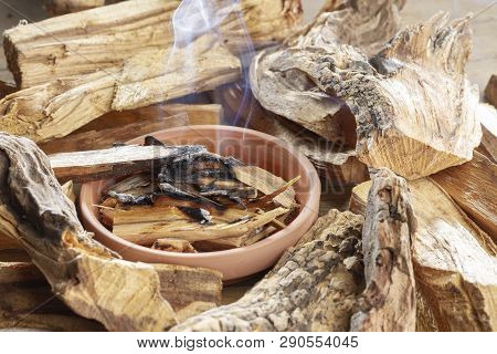 Sacred Wood 