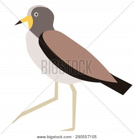Oystercatcher Flat Illustration On White Background. Animals And Wildlife Series.