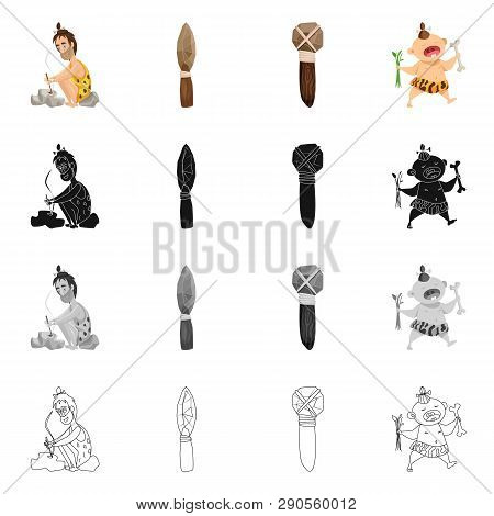 Vector Design Of Evolution  And Prehistory Sign. Set Of Evolution  And Development  Vector Icon For 