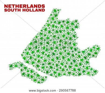 Vector Cannabis South Holland Map Collage. Template With Green Weed Leaves For Cannabis Legalize Cam