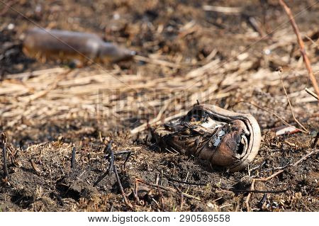Charred Sneakers Lying On The Fumes After A Fire Of Grass Fire. Consequences Of A Catastrophe. Sprin