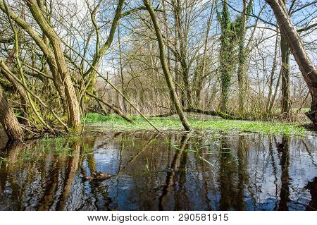 Flooded Fields After A Significant Winter Storm, Near The Dutch Town Of Orvelte.