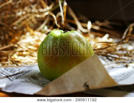 Green Apple Lies On The Hay In The Attic