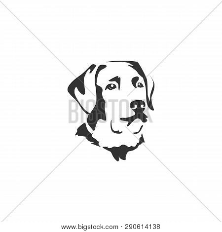 Vector Of A Labrador Puppy Face On White Background. Dog. Pet