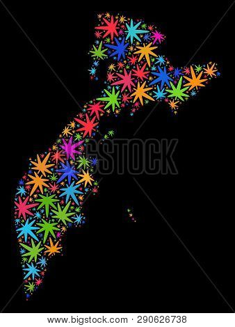 Bright Vector Marijuana Kamchatka Map Mosaic On A Black Background. Concept With Bright Weed Leaves 