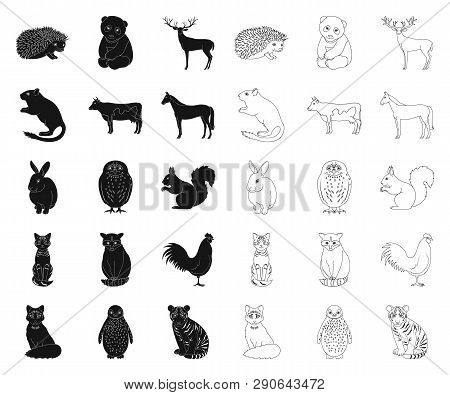 Realistic Animals Black, Outline Icons In Set Collection For Design. Wild And Domestic Animals Vecto