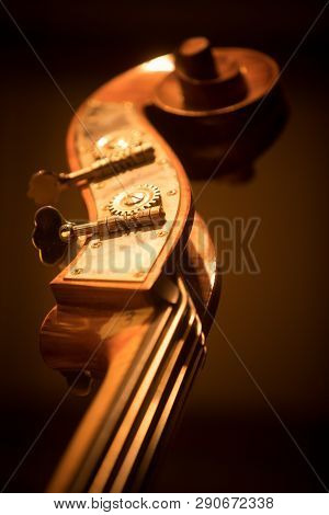 Close Up Shot Of A Double Bass Scroll And Tuning Pegs.