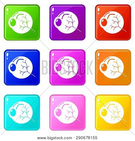 Human Eye Icons Set 9 Color Collection Isolated On White For Any Design