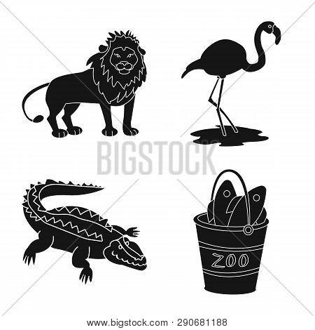 Isolated Object Of Fauna And Entertainment Symbol. Collection Of Fauna And Park Stock Vector Illustr