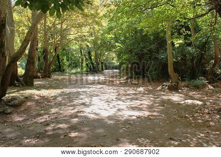 Agios Nikolaos Park Naousa Greece Europe