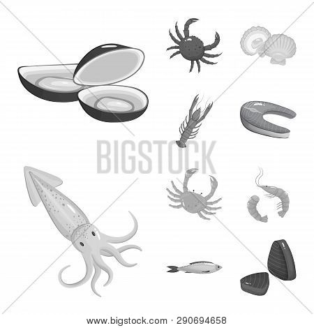 Isolated Object Of Seafood And Healthy Logo. Set Of Seafood And Ocean Vector Icon For Stock.