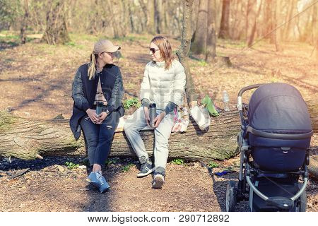 Two Women Girlfriends Sitting On Wooden Log At Forest Glade While Walking With Baby Stroller. Young 