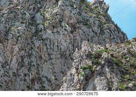 Close Up On Rocks On Capri Island Coast. Italy. Sunny Day. Copy Space.