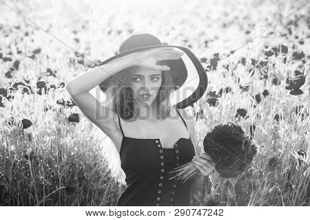 Girl With Long Curly Hair In Red Dress And Retro Hat Hold Flower Bouquet In Field Of Poppy Seed On G