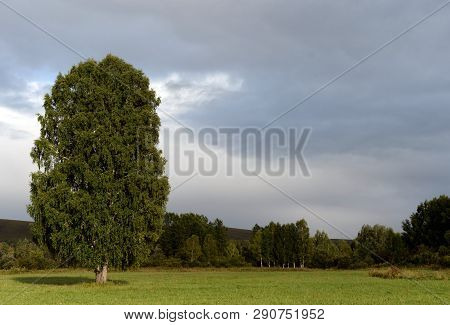 Landscape At The Mouth Of The River Inya. Altai Region. Russia
