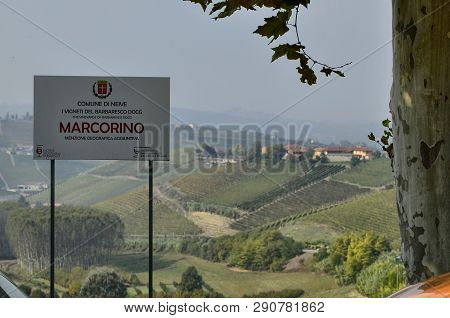 The Landscape Of The Vineyards Of Barbaresco