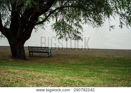Lonely Bench Under A Big Tree Beside The River