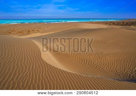 Delta del Ebro Ebre beach Punta del Fangar in Tarragona Costa Dorada Deltebre