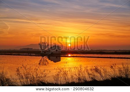Delta del Ebro Ebre sunset in Deltebre of Tarragona at Catalonia spain
