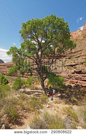 Hance Creek Backcountry Campsite In Grand Canyon National Park, Arizona.