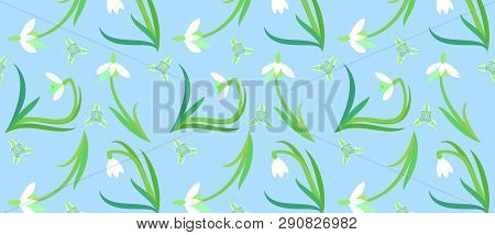 Pattern With Delicate White Wildflowers And Circles.