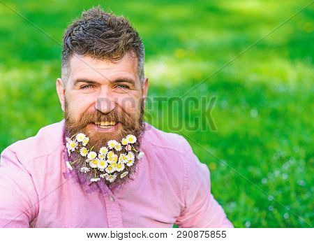 Man With Beard On Smiling Face Enjoy Life Without Allergy. Spring Allergy Concept. Hipster With Dais